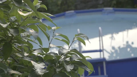 Pool in the backyard Stock Footage 160148216