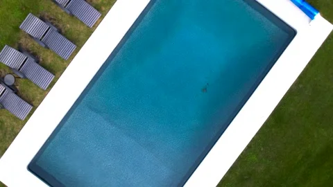 Pool Backyard Graden Luxury Big Size Pool (3) Stock Footage 269843981