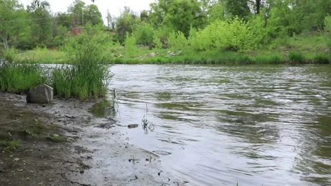 Pool on the Big Thompson River Next to a Highway Stock Footage 131339471