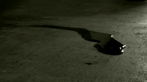 Pool of blood Stock Footage 25160807