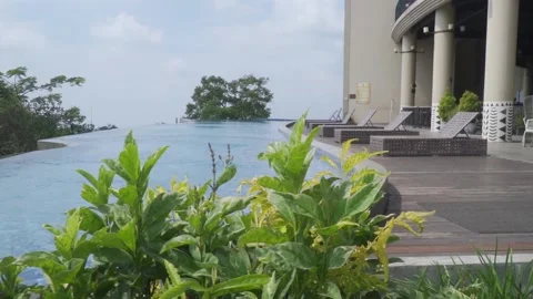 A pool with chairs and a tree in the background Stock Footage 236890053