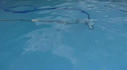 Pool cleaner Видео 23916523