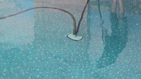 Pool cleaning special mop Stock-Footage 88137838