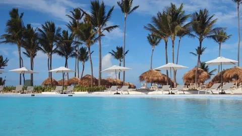 Pool with clear blue water, beach umbrellas and palm trees on the background Видео 161818352