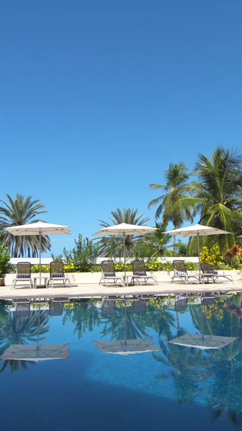 Pool with clear blue water, beach umbrellas and palm trees on the background Vídeos de archivo 303739383