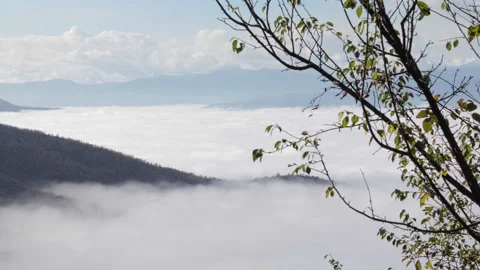 A pool of clouds below the mountains, Full HD 1080 Cinematic Stock Footage 146873945