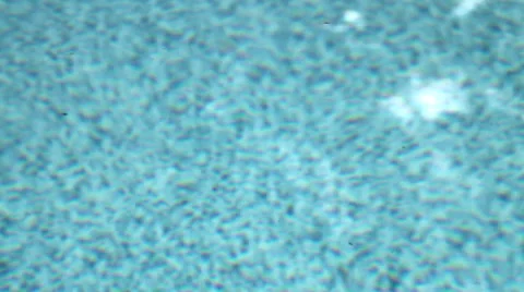 Pool Debris in Motion Video stock 42010833