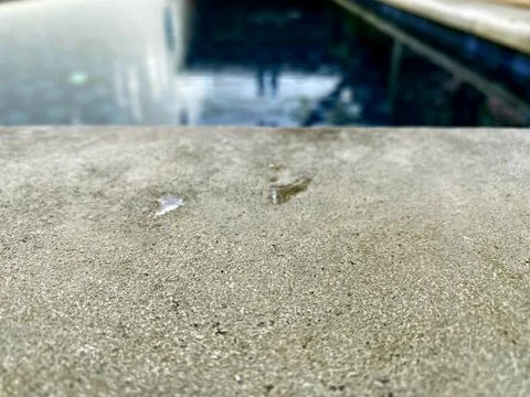 Pool Deck Concrete Texture and Water Droplets Macro View Stock Photos