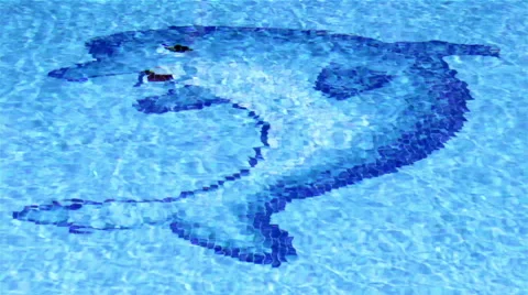 Pool Dolphin Tile Waves B Stock Footage 41808830