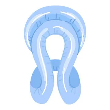 Pool equipment icon cartoon vector. Summer float Stock Illustration