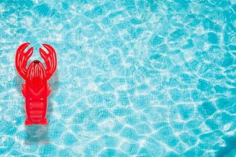 Pool float, ring floating in a refreshing swimming pool Stock Photos