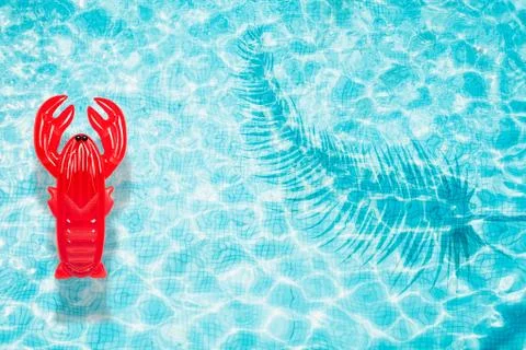 Pool float, ring floating in a refreshing swimming pool Stock Photos