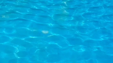 Pool Stock Footage 486765