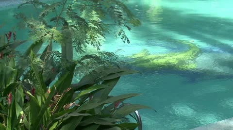 Pool Stock Footage 20526849