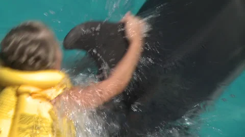 In the pool Stock Footage 33519937