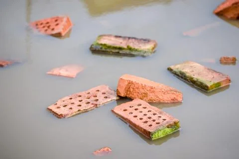 Pool with fragments of a red construction brick Stock Photos