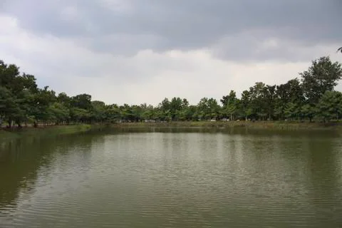 Pool in the garden Stock Photos