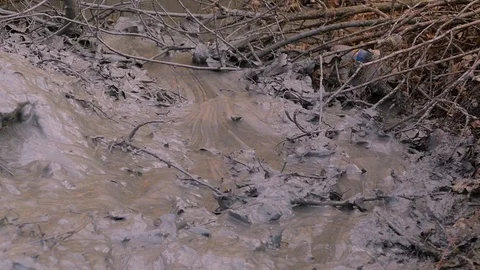 A pool of gray clay replenishes with a large surge of waste, which oily film cov 스톡 동영상 122323136