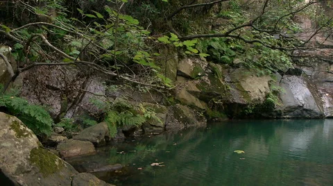 Pool of green water Stock Footage 43218587