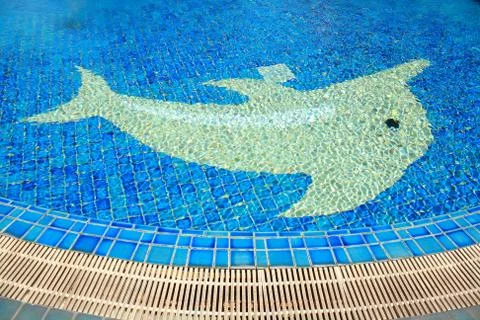 Pool  ground Stock Photos