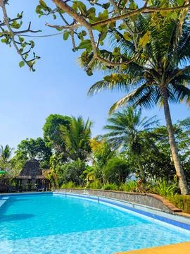 The pool at the guest house in the jungle on Java, Indonesia Fotos de archivo