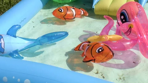 Pool with inflatable toys Stock Footage 94955793