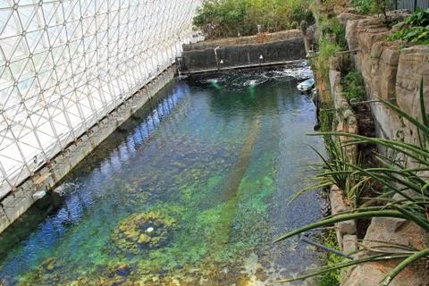 Pool Inside the Biosphere 2 in Tucson Arizona Stock Photos