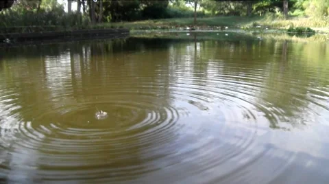 Pool inside of the forest upon sunlight Video stock 44557901