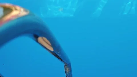 Pool ladder emerging from crystal clear blue water Vidéo 312121977