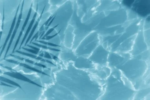 Pool with a leaf shadow background Stock Photos
