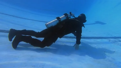 Pool Maintenance 001 Vidéo 237942763