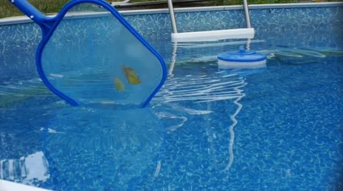 Pool maintenance - Cleaning leaves from pool Stock Footage 52450686