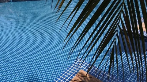 Pool Maldives Stock Footage 170116891