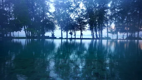 Pool on the morning Stock Footage 243625391