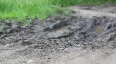 Pool with mosquitoes Stock Footage 30597027