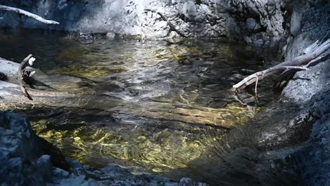 A pool from a mountain stream with beautiful waves (slow motion) Stock Footage 219646280