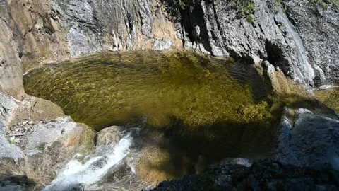 A pool from a mountain stream Stock-Footage 219646236