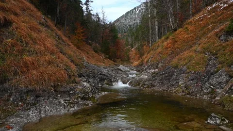 A pool from a mountain stream in late autumn 스톡 동영상 260847800