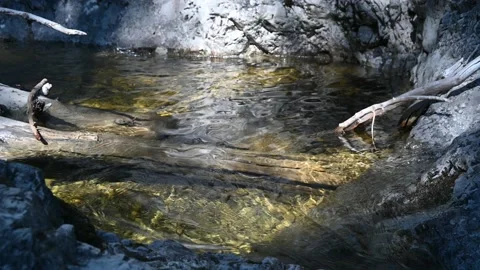 A pool from a mountain stream with old wood Video stock 219646413