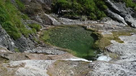 A pool of a mountain stream in summer Stock Footage 219636972