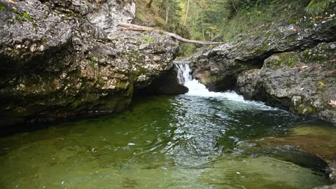 A pool from a mountain stream with a waterfall in autumn Stock-Footage 260866450
