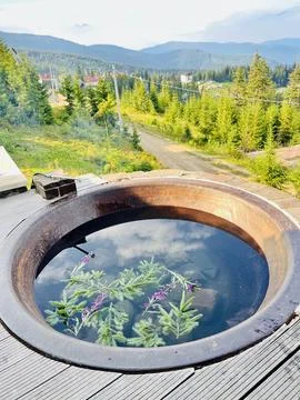 Pool in the mountains with pine needles Stock Photos