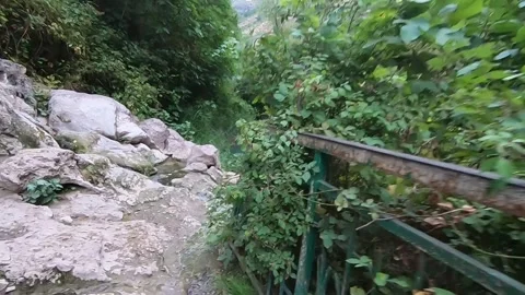 Pool in the nature 1 Stock-Footage 333144405