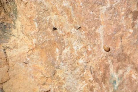 Pool of Nymphs Foto stock