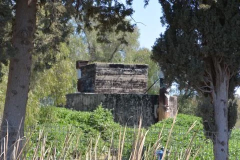 Pool of Nymphs Stock Photos