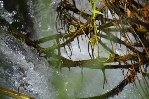 Pool of Nymphs Foto stock