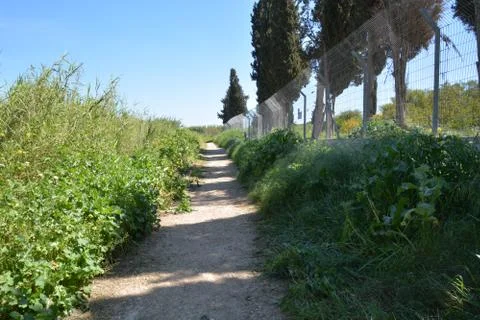 Pool of Nymphs Foto stock