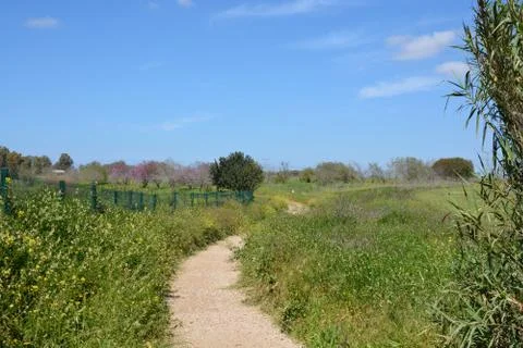 Pool of Nymphs Stock Photos
