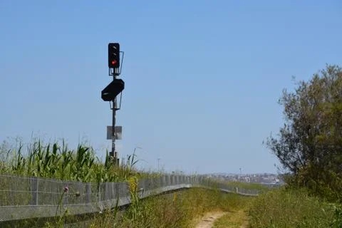 Pool of Nymphs Stock Photos