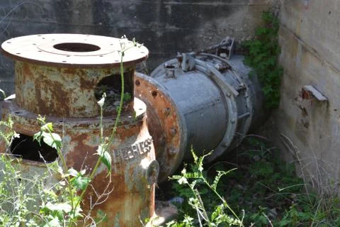 Pool of Nymphs Stock Photos